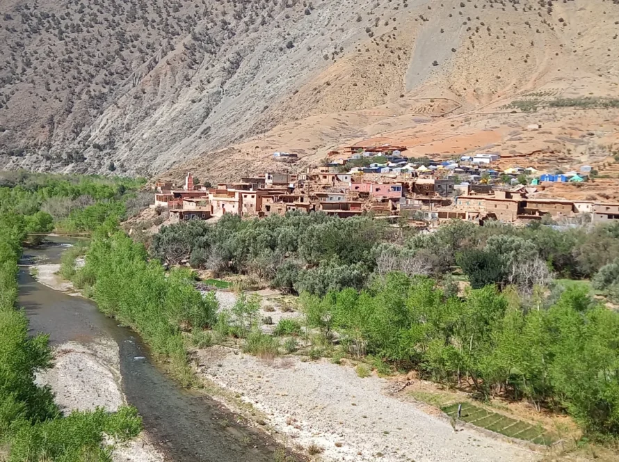 https://www.marrakechactivite.com/