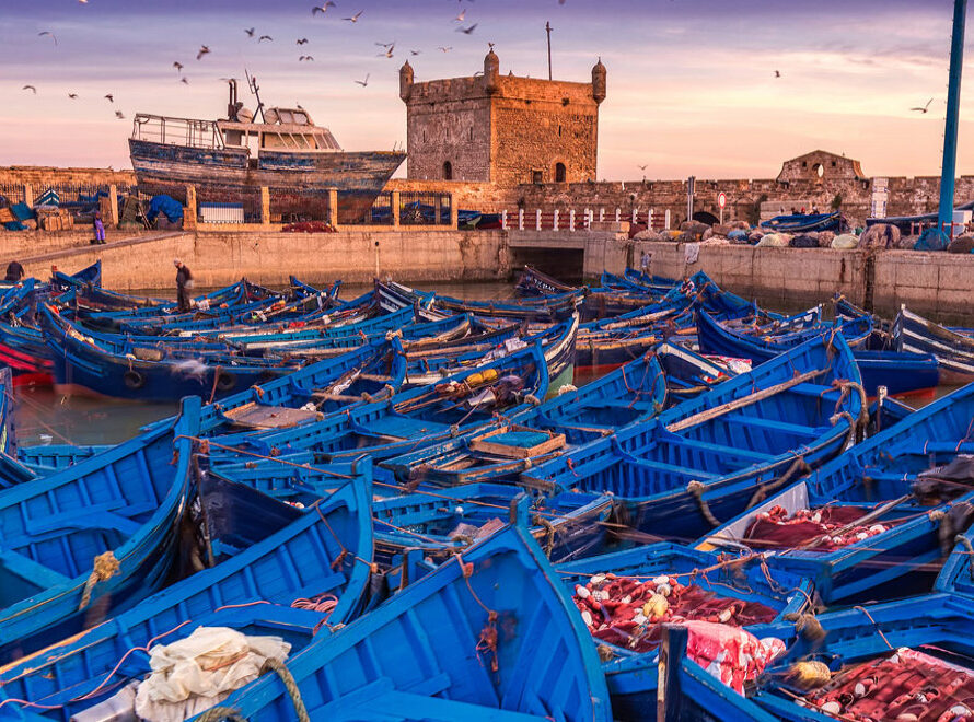 Réserver une Excursion à Essaouira